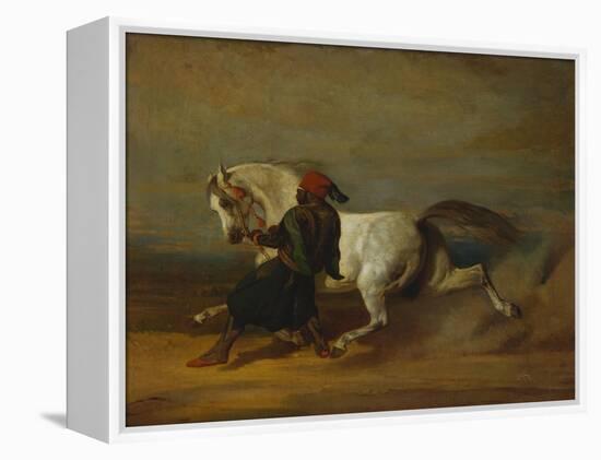 The Pasha's Pride-Alfred De Dreux-Framed Premier Image Canvas