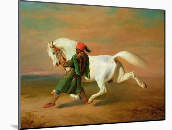 The Pasha's Pride-Alfred De Dreux-Mounted Giclee Print
