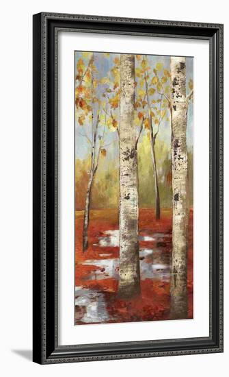 The Passage I-Allison Pearce-Framed Art Print