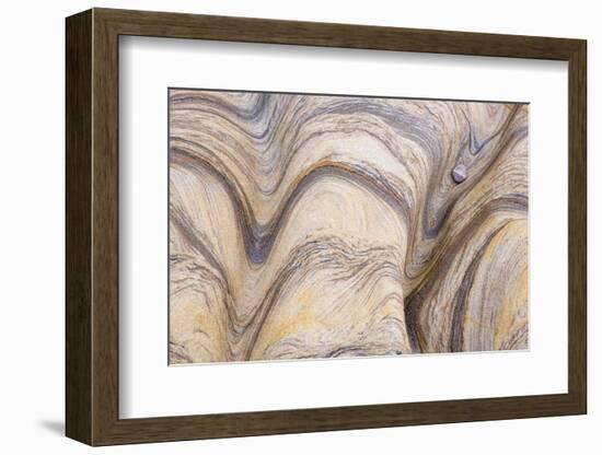 The Passage Of Time-Doug Chinnery-Framed Photographic Print