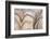 The Passage Of Time-Doug Chinnery-Framed Photographic Print