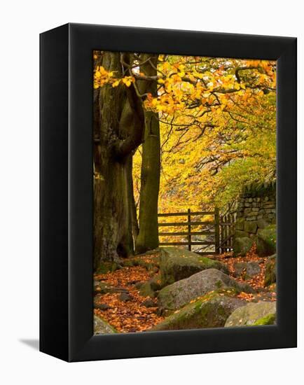 The Passage to Peace-Doug Chinnery-Framed Premier Image Canvas