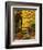 The Passage to Peace-Doug Chinnery-Framed Photographic Print