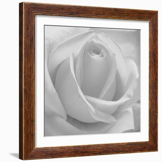 The Passion Of Purity, 2009-Hiroyuki Arakawa-Framed Photographic Print