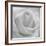 The Passion Of Purity, 2009-Hiroyuki Arakawa-Framed Photographic Print