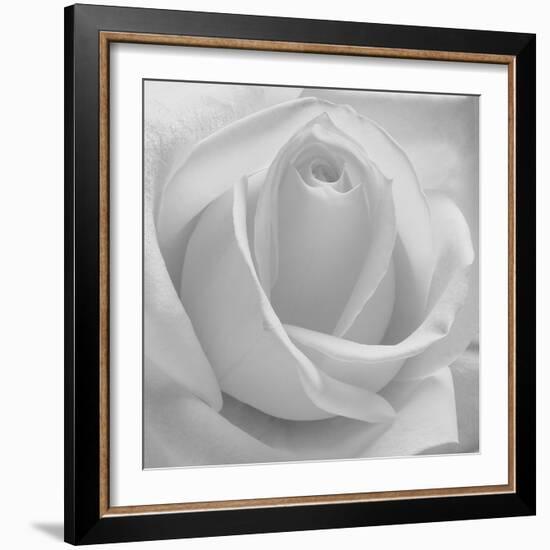 The Passion Of Purity, 2009-Hiroyuki Arakawa-Framed Photographic Print