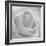 The Passion Of Purity, 2009-Hiroyuki Arakawa-Framed Photographic Print