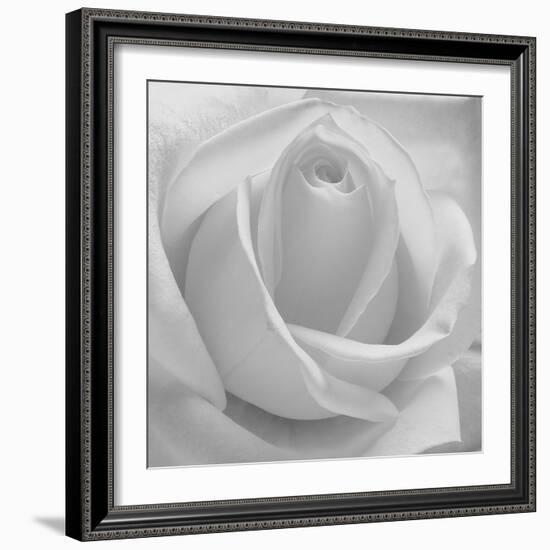 The Passion Of Purity, 2009-Hiroyuki Arakawa-Framed Photographic Print