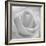 The Passion Of Purity, 2009-Hiroyuki Arakawa-Framed Photographic Print