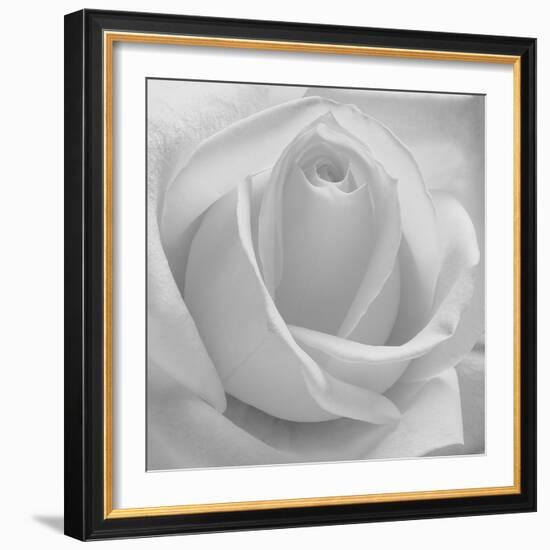 The Passion Of Purity, 2009-Hiroyuki Arakawa-Framed Photographic Print