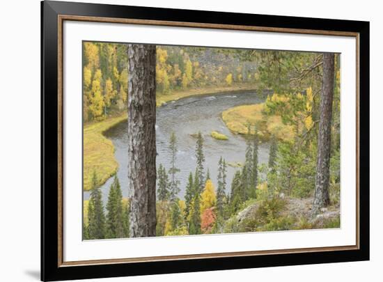 The Path Ahead-Staffan Widstrand-Framed Giclee Print