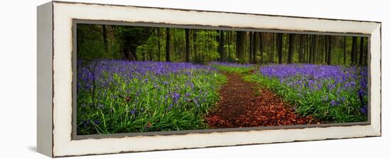 The Path Divided-Doug Chinnery-Framed Premier Image Canvas
