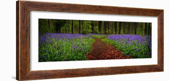 The Path Divided-Doug Chinnery-Framed Photographic Print