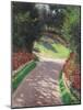 The Path in the Garden, 1886 (Oil on Canvas)-Gustave Caillebotte-Mounted Giclee Print