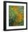 The Path in the Iris Garden-Claude Monet-Framed Art Print