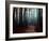 The Path Not Take-Philippe Manguin-Framed Photographic Print