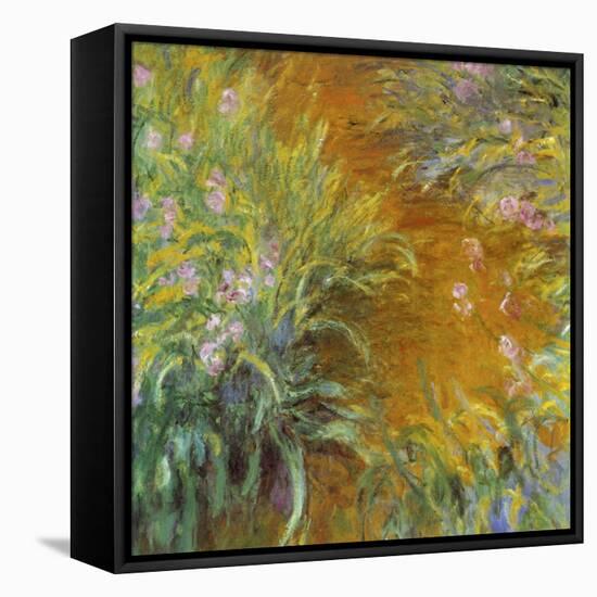 The Path through the Irises-null-Framed Premier Image Canvas