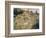 The Path Through the Long Grass, circa 1875-Pierre-Auguste Renoir-Framed Giclee Print