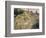 The Path Through the Long Grass, circa 1875-Pierre-Auguste Renoir-Framed Giclee Print