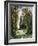 The Path Through the Woods, 1880-Ivan Ivanovitch Shishkin-Framed Giclee Print