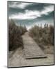 The Pathway-Gill Copeland-Mounted Art Print