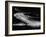 The Pattern Made by Landing Lights of Planes in 20 Minute Time Exposure at La Guardia Airport-Andreas Feininger-Framed Photographic Print