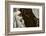 The Pattern-Phillip Chang-Framed Photographic Print