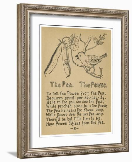 The Pea. The Pewee.-Robert Williams Wood-Framed Art Print