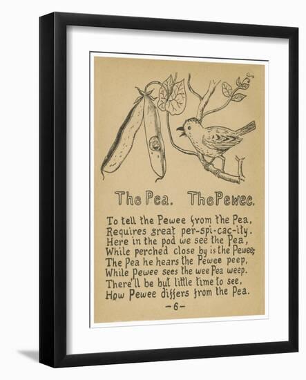 The Pea. The Pewee.-Robert Williams Wood-Framed Art Print