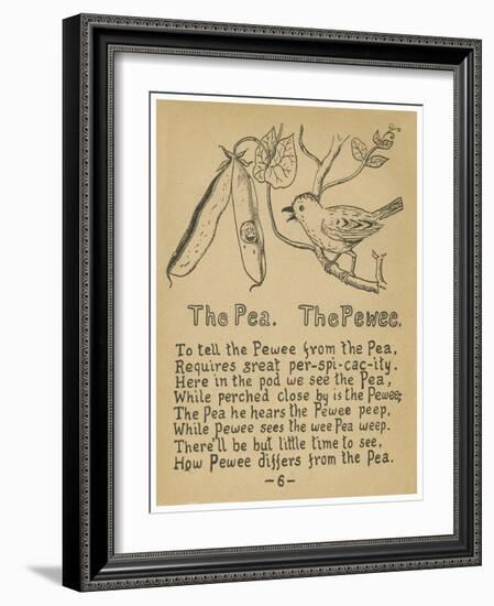 The Pea. The Pewee.-Robert Williams Wood-Framed Art Print