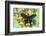 The Peacock Swallowtail Butterfly, Papilio Arcturus-Darrell Gulin-Framed Photographic Print