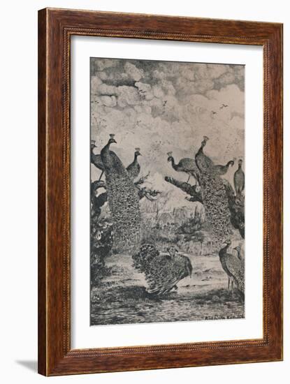 'The Peacocks', 1869, (1946)-Rodolphe Bresdin-Framed Giclee Print