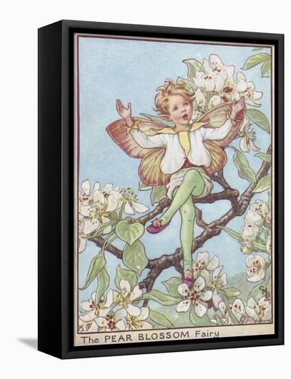 The Pear Blossom Fairy-Vision Studio-Framed Stretched Canvas