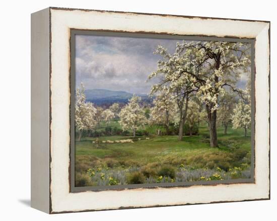 The Pear Orchard, C.1903-Alfred Parsons-Framed Premier Image Canvas