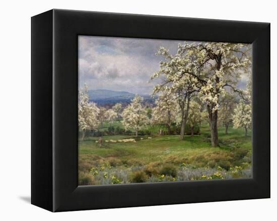 The Pear Orchard, C.1903-Alfred Parsons-Framed Premier Image Canvas