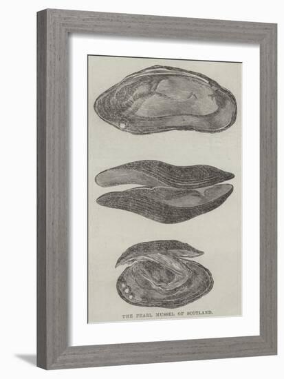 The Pearl Mussel of Scotland-null-Framed Giclee Print