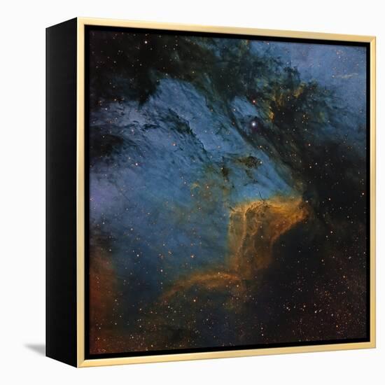 The Pelican Nebula, an H Ii Region in the Constellation Cygnus-null-Framed Premier Image Canvas