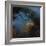 The Pelican Nebula, an H Ii Region in the Constellation Cygnus-null-Framed Photographic Print