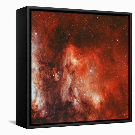 The Pelican Nebula-Stocktrek Images-Framed Premier Image Canvas