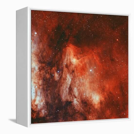 The Pelican Nebula-Stocktrek Images-Framed Premier Image Canvas