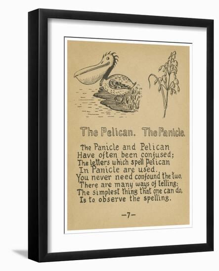 The Pelican. The Panicle.-Robert Williams Wood-Framed Art Print