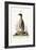 The Penguin, 1749-73-George Edwards-Framed Giclee Print