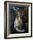 The Penitent Magdalene, 1580-5-El Greco-Framed Giclee Print