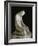 The Penitent Magdalene-Antonio Canova-Framed Giclee Print