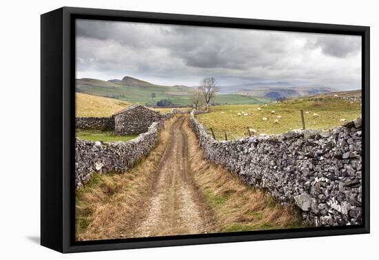 The Pennine Bridle Way Near Stainforth in Ribblesdale, Yorkshire Dales, Yorkshire, England-Mark Sunderland-Framed Premier Image Canvas