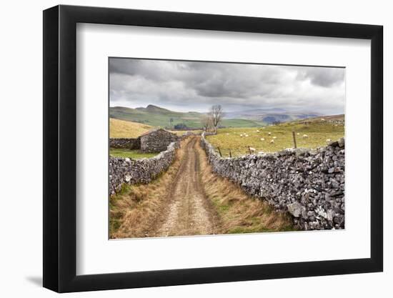 The Pennine Bridle Way Near Stainforth in Ribblesdale, Yorkshire Dales, Yorkshire, England-Mark Sunderland-Framed Photographic Print