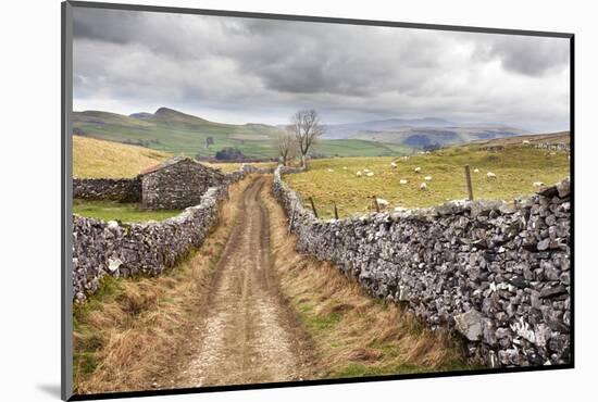 The Pennine Bridle Way Near Stainforth in Ribblesdale, Yorkshire Dales, Yorkshire, England-Mark Sunderland-Mounted Photographic Print