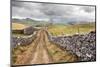 The Pennine Bridle Way Near Stainforth in Ribblesdale, Yorkshire Dales, Yorkshire, England-Mark Sunderland-Mounted Photographic Print