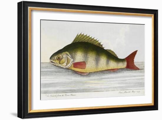 The Perch From the River Rhino-E. Albin-Framed Giclee Print