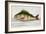 The Perch From the River Rhino-E. Albin-Framed Giclee Print